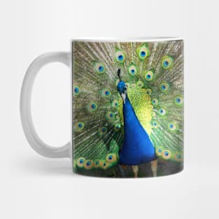 peacock Mug